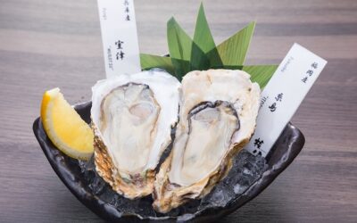 【権八】冬のスペシャルメニュー、提供開始！12/6～